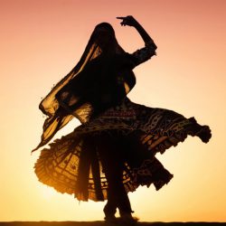 Rajasthani-Dance-3